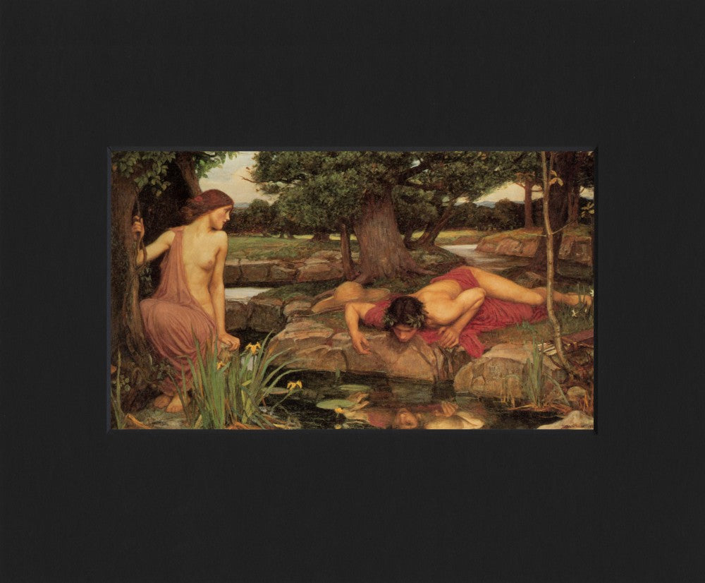 Echo and Narcissus (Poster)