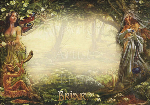Spirit of the Tree