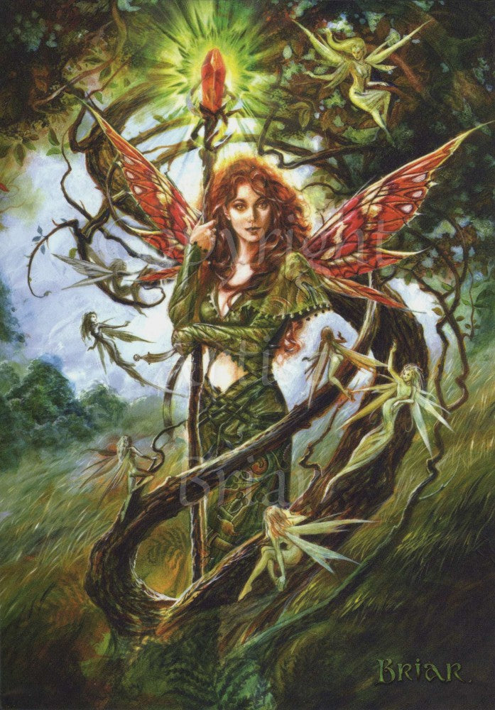 Anne Stokes & Briar Fantasy Art Multipack (6-pack)