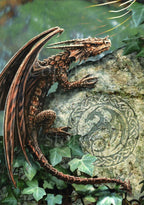 Anne Stokes & Briar Fantasy Art Multipack (6-pack)