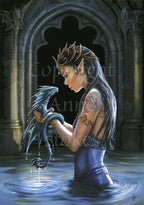 Anne Stokes & Briar Fantasy Art Multipack (6-pack)