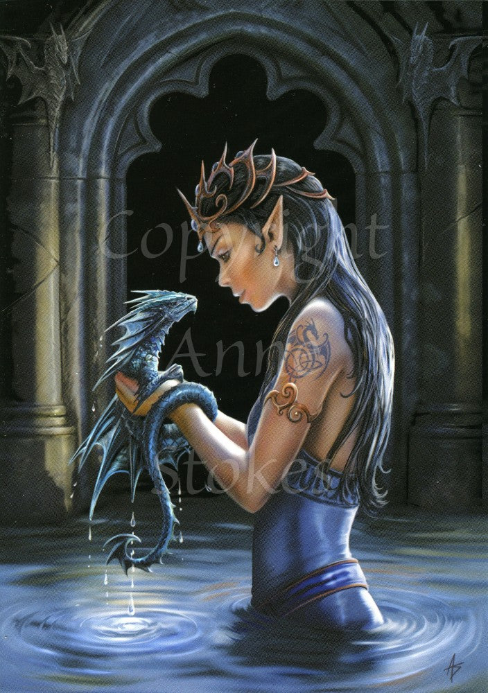 Anne Stokes & Briar Fantasy Art Multipack (6-pack)
