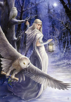 Midnight Messenger
