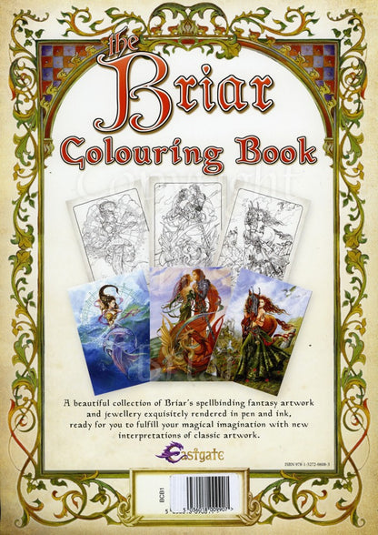 Briar Fantasy Art Colouring Book