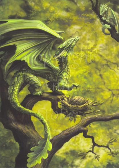 Forest Dragon