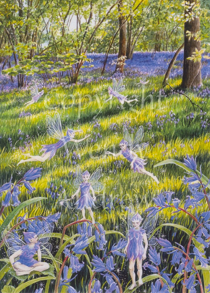 Bluebell Wood Faeries