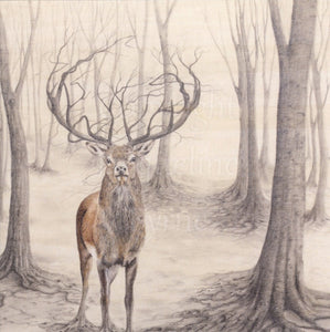 Tree Stag