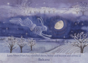 Luna Moon Hare at Beltane