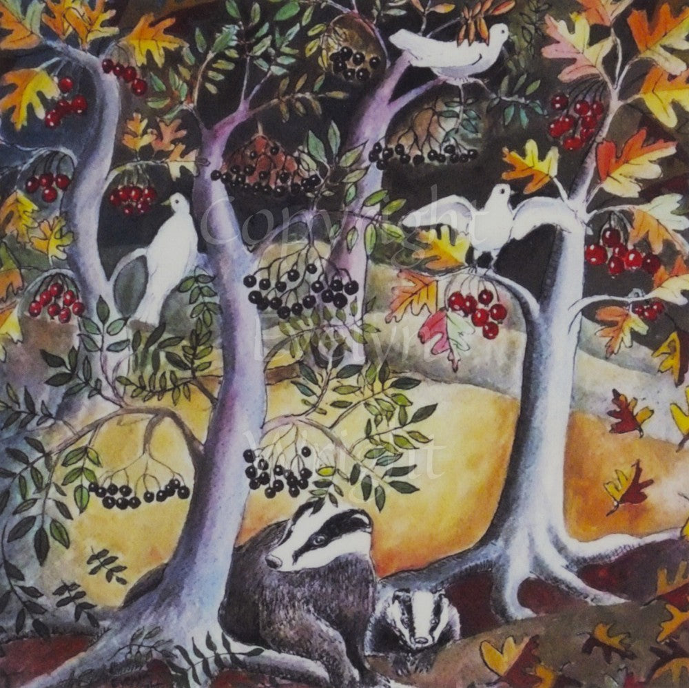 Badgers in Autumn Wood
