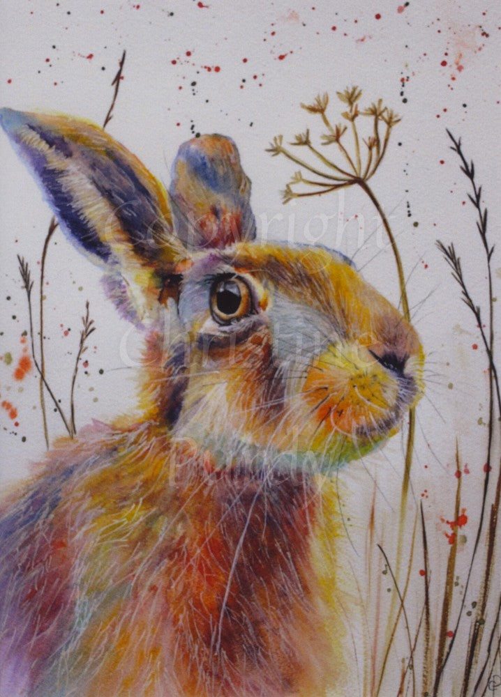 Autumn Hare 2