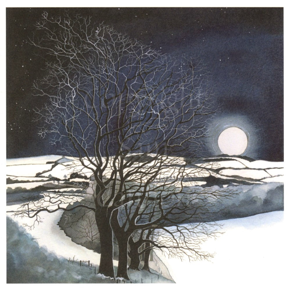 Dorset in Winter