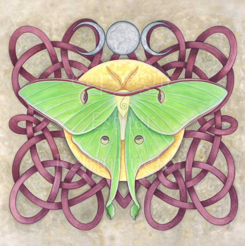 Luna Moth (Print)