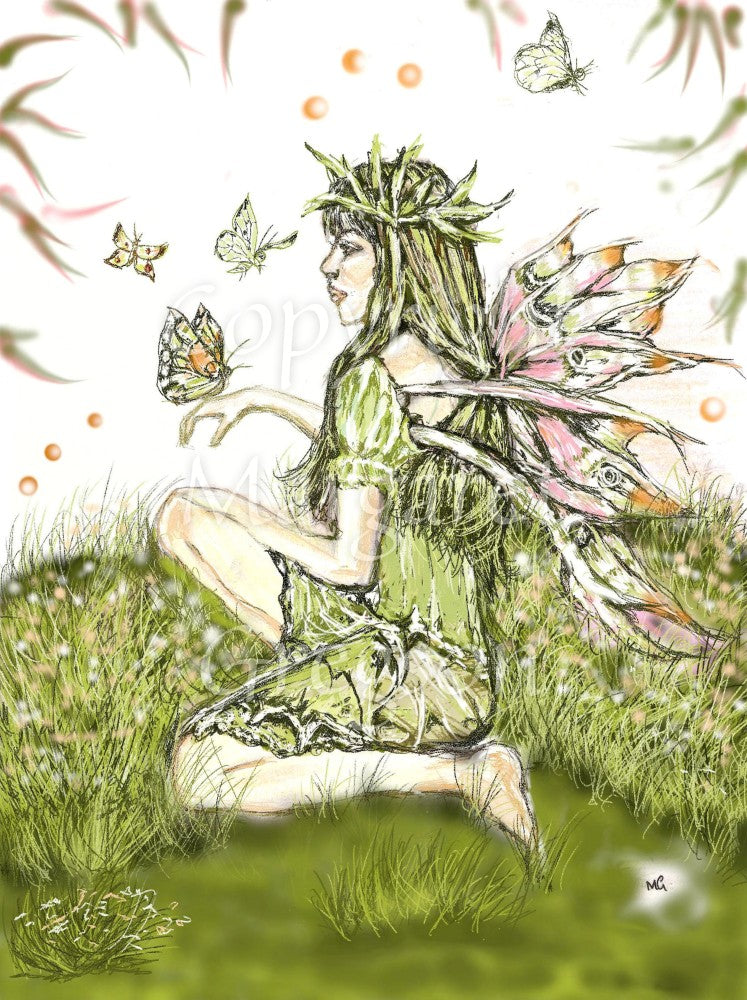 Butterfly Fairy