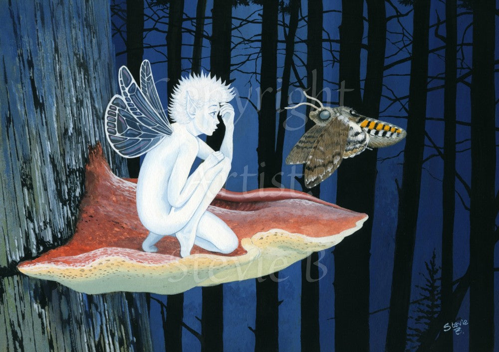 Forest Secrets