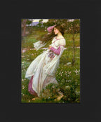 Windflowers (Poster)